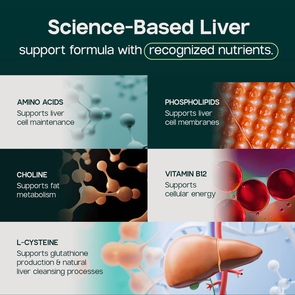 Liverite Liver Aid 90 Tablets -Advanced Liver Support with 17 Amino Acids, Choline and Phospholipids, Supports Healthy Liver Function and Metabolism