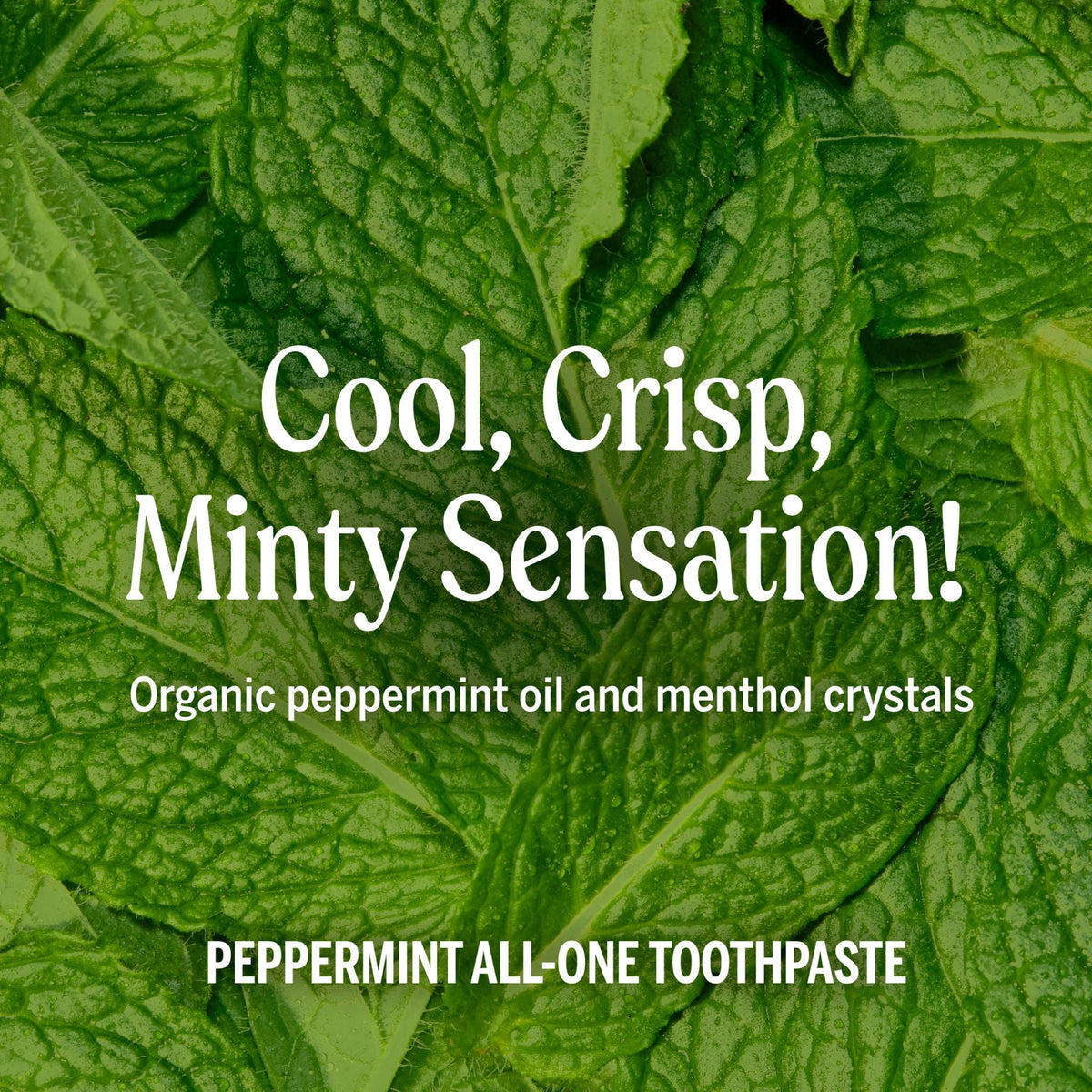 Dr. Bronner's Toothpaste - Spearmint - 5oz - Whitening, Natural & 70% Organic - Adults, Teens Children 3 and Above