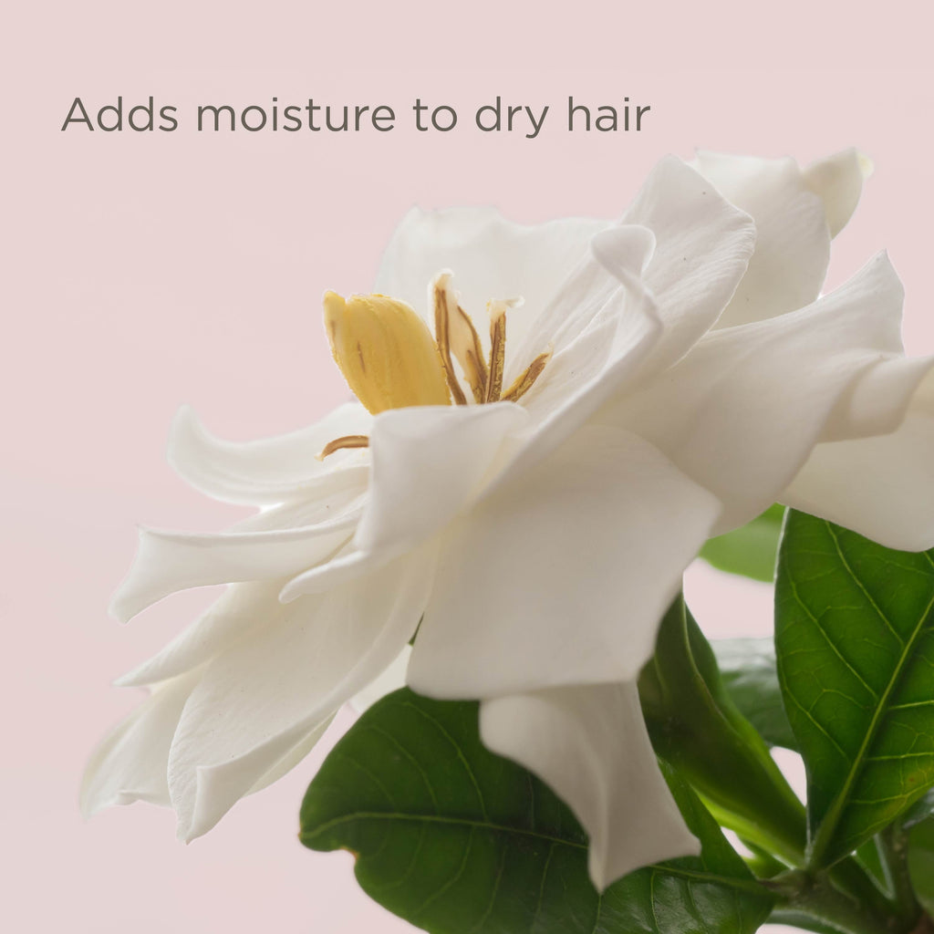 Hairitage End Play Split End Rescue Gel Cream with Jojoba Protein, for Damaged Hair, 4 fl oz