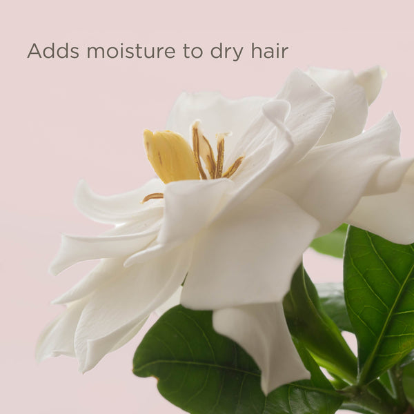 Hairitage End Play Split End Rescue Gel Cream with Jojoba Protein, for Damaged Hair, 4 fl oz