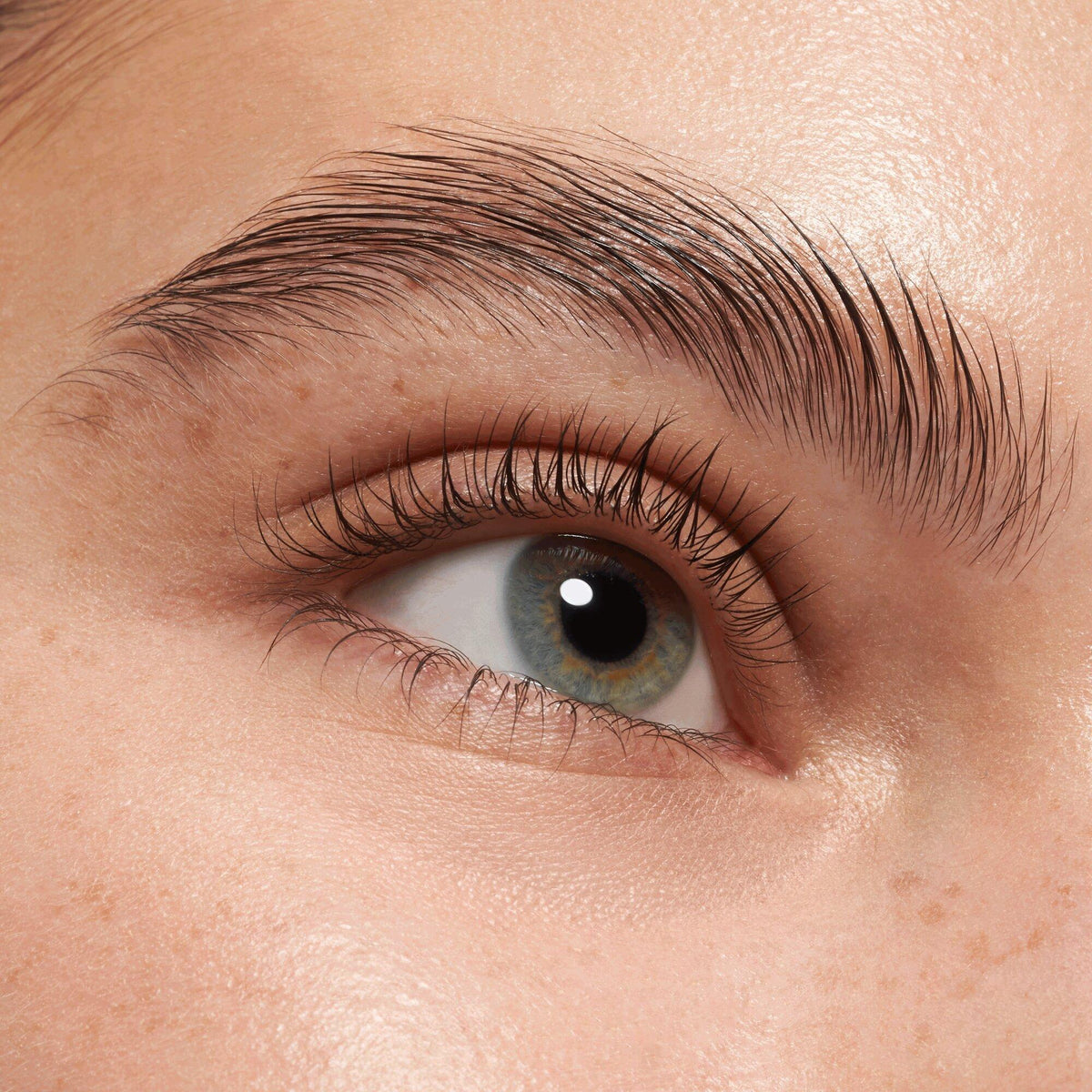 Lash & Brow Gel Mascara