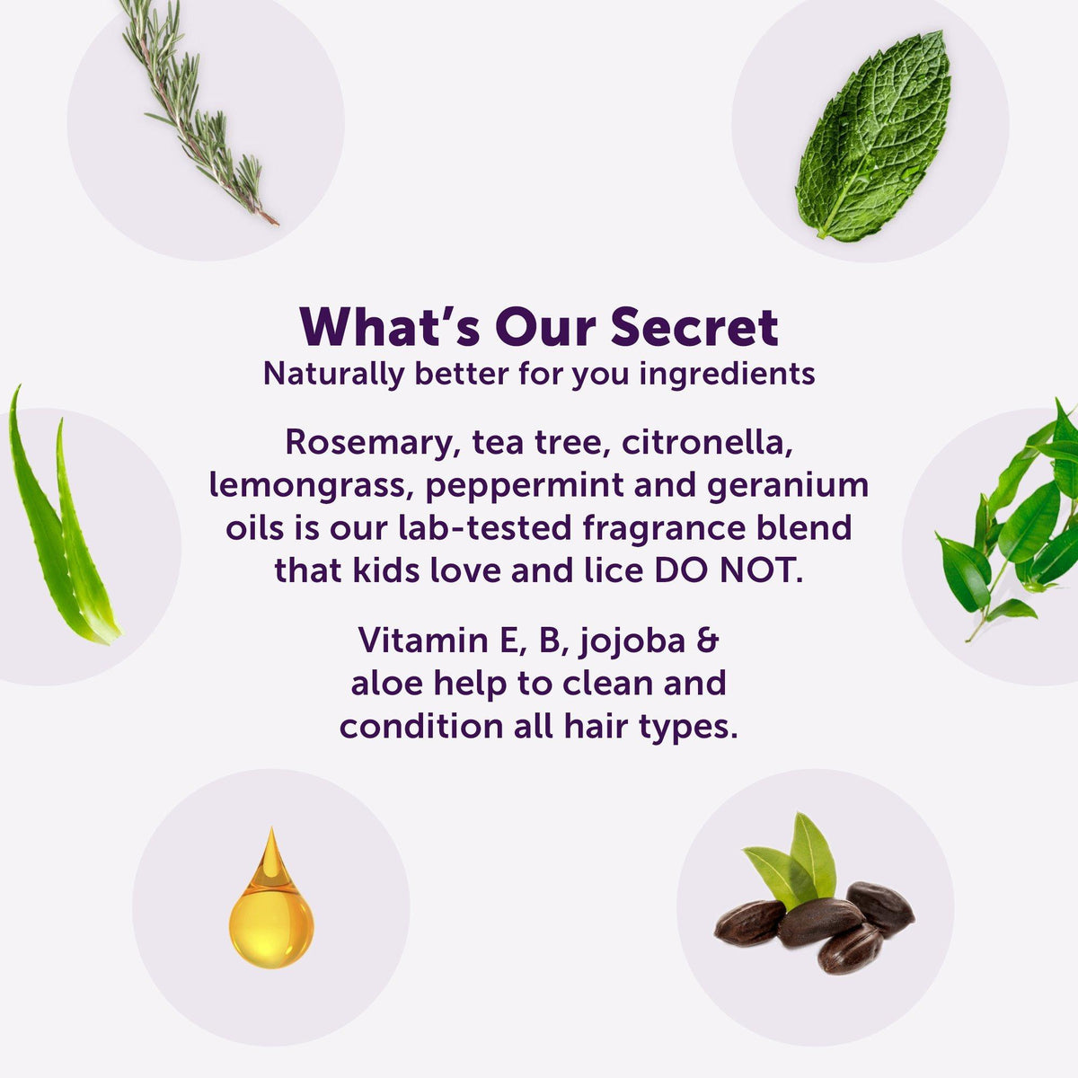 Rosemary Repel Conditioning Spray
