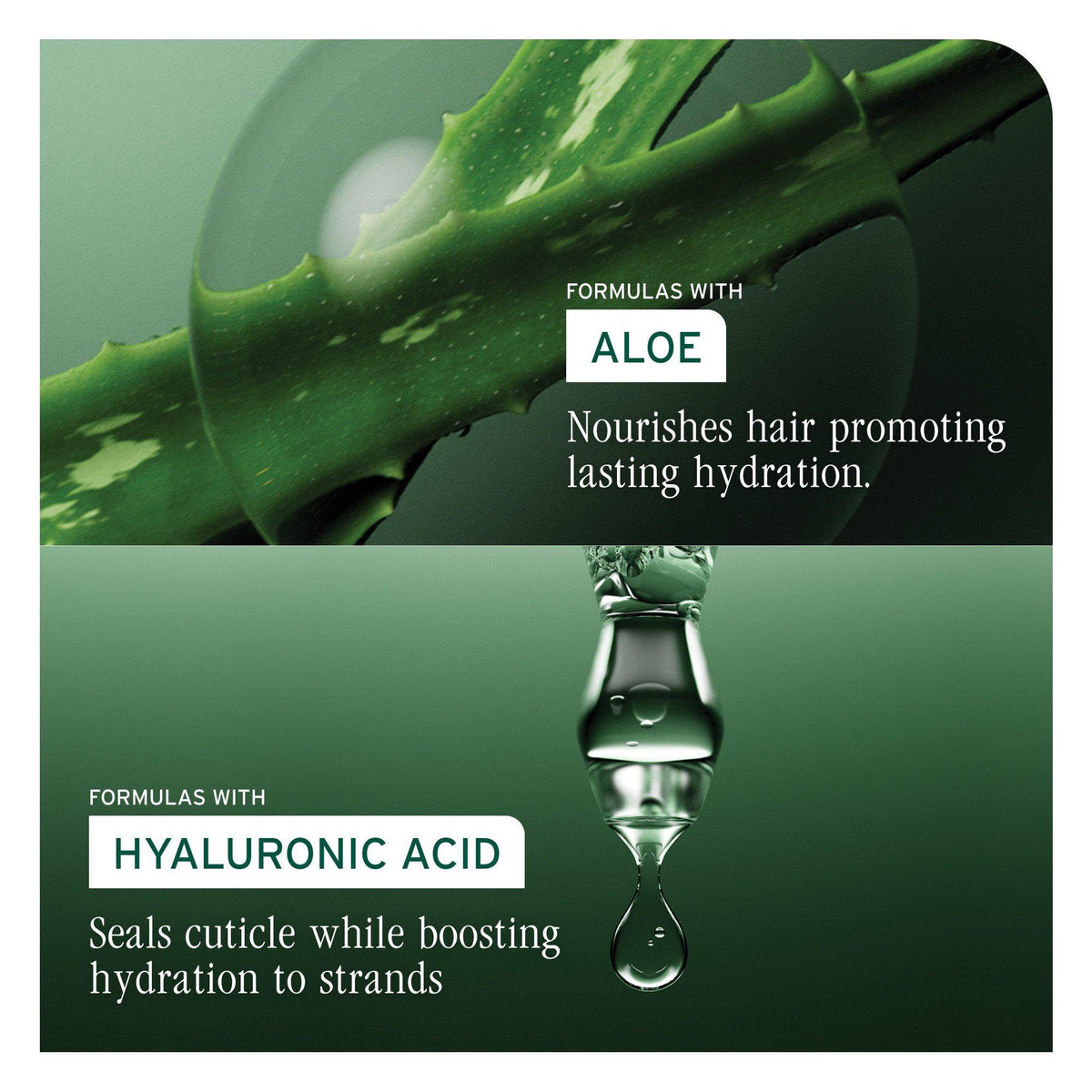 Hydra Source Shampoo for Dry Hair