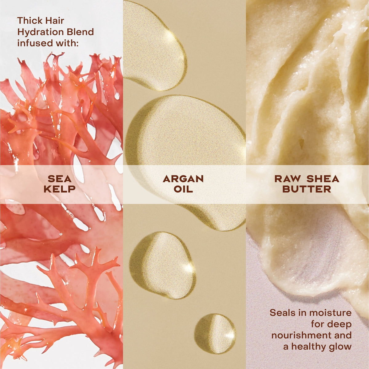SheaMoisture Raw Shea Butter Deep Moisturizing Shampoo for Dry, Damaged or Transitioning Hair Raw Shea Butter with Argan Oil for a Healthy Glow ,13 Fl