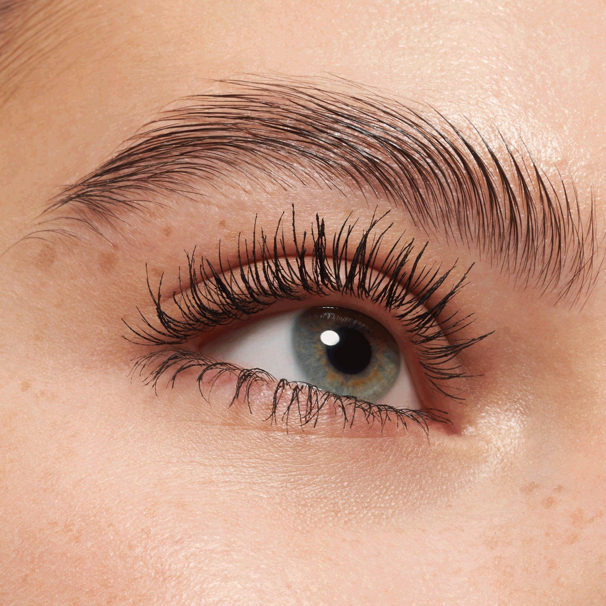 Lash Princess Sculpted Volume Mascara