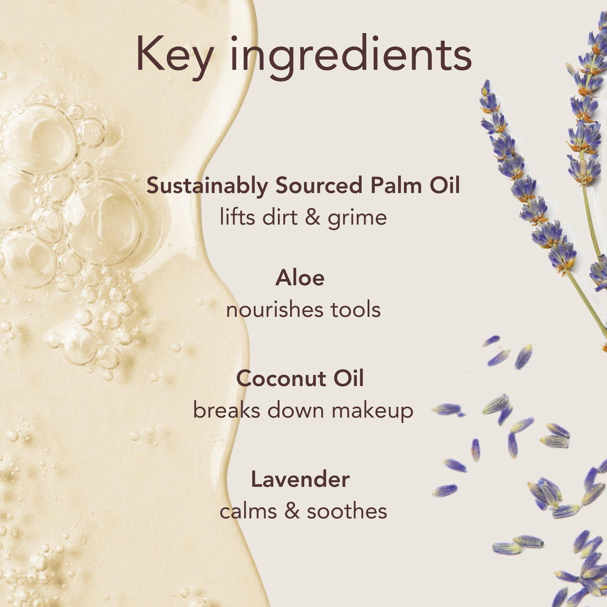Liquid Blendercleanser