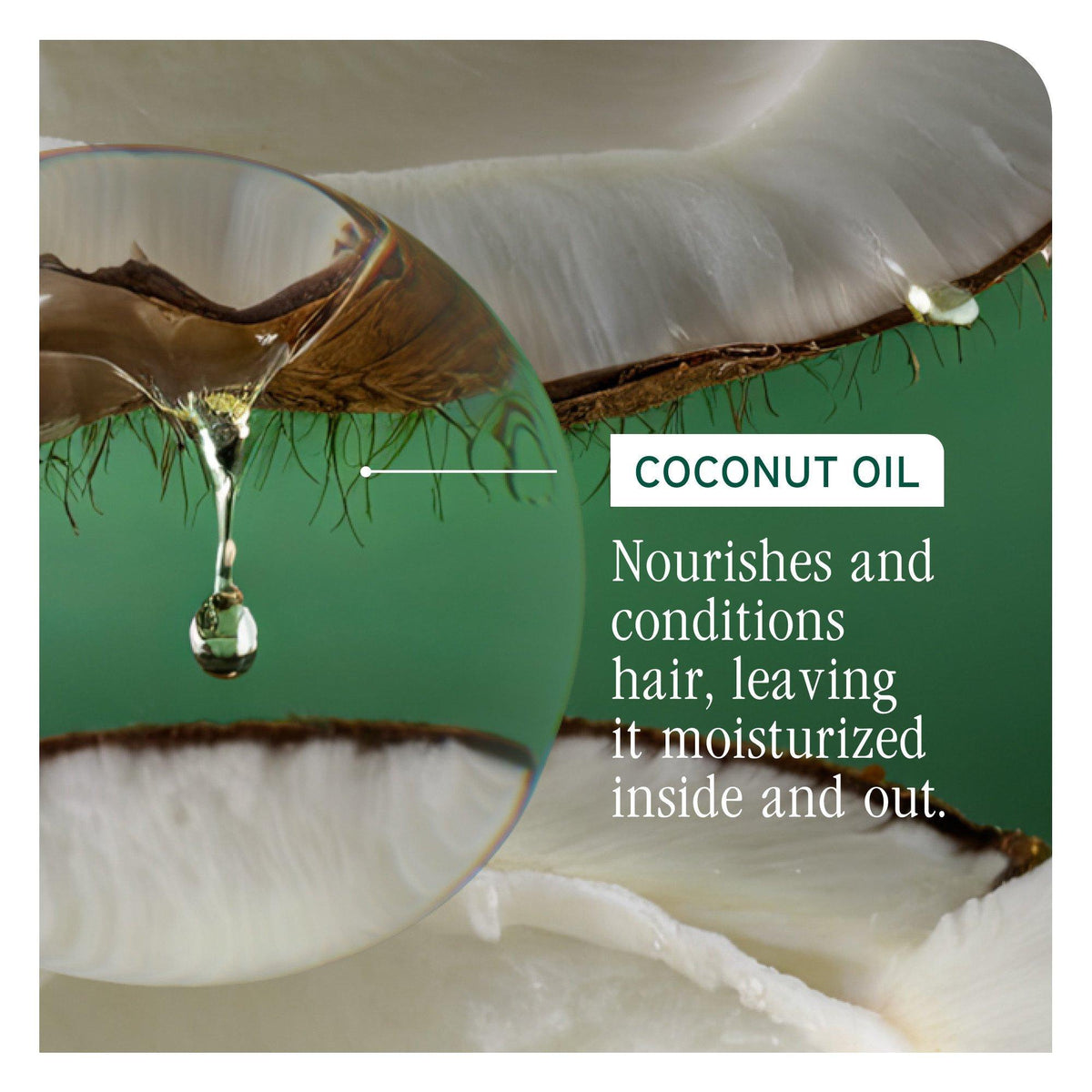All-In-One Multi-Benefit Spray
