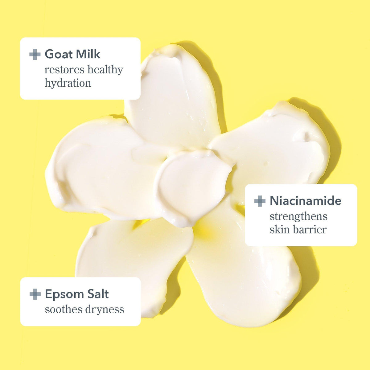 Bloom Cream Daily Moisturizer