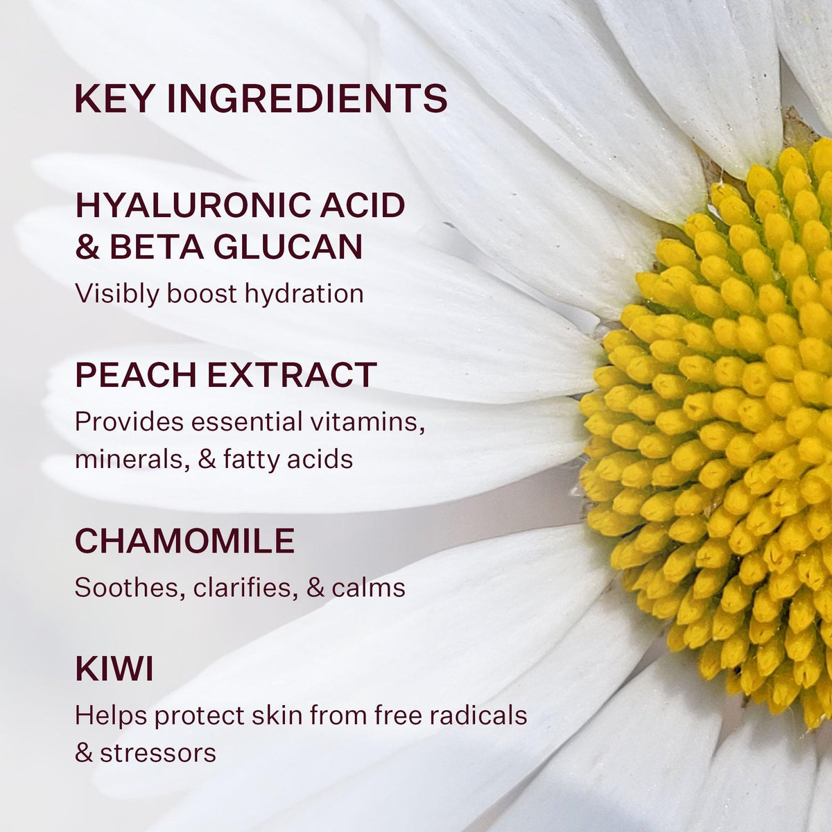 Glass Skin Water-Gel Moisturizer