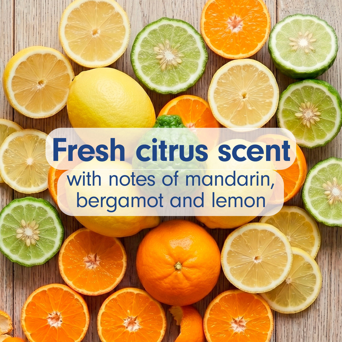 Softsoap Antibacterial Hand Soap, Eliminates 99% of Bacteria, Fresh Citrus Scent, 11.25 fl oz