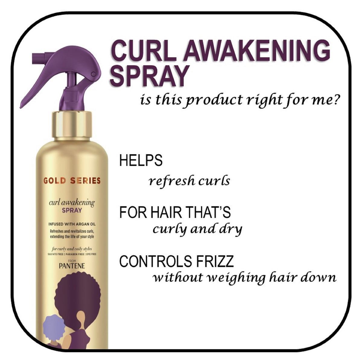 Pantene Gold Series Curl Awakening Spray with Argan Oil for Curly, Coily Hair, 8.4 fl oz