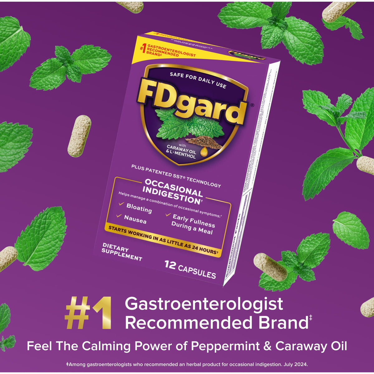 FDgard Digestive Health Supplement with Caraway Oil & L-Menthol for Occasional Nausea, Bloating & Upset Stomach†, 12ct (Packaging May Vary)