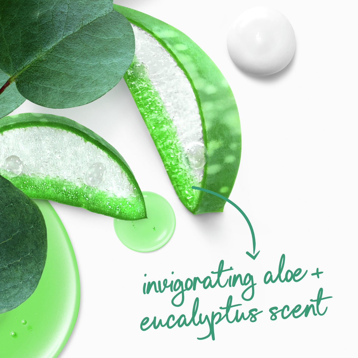 Dove Invigorating Liquid Body Wash Aloe & Eucalyptus Scent, 20 oz