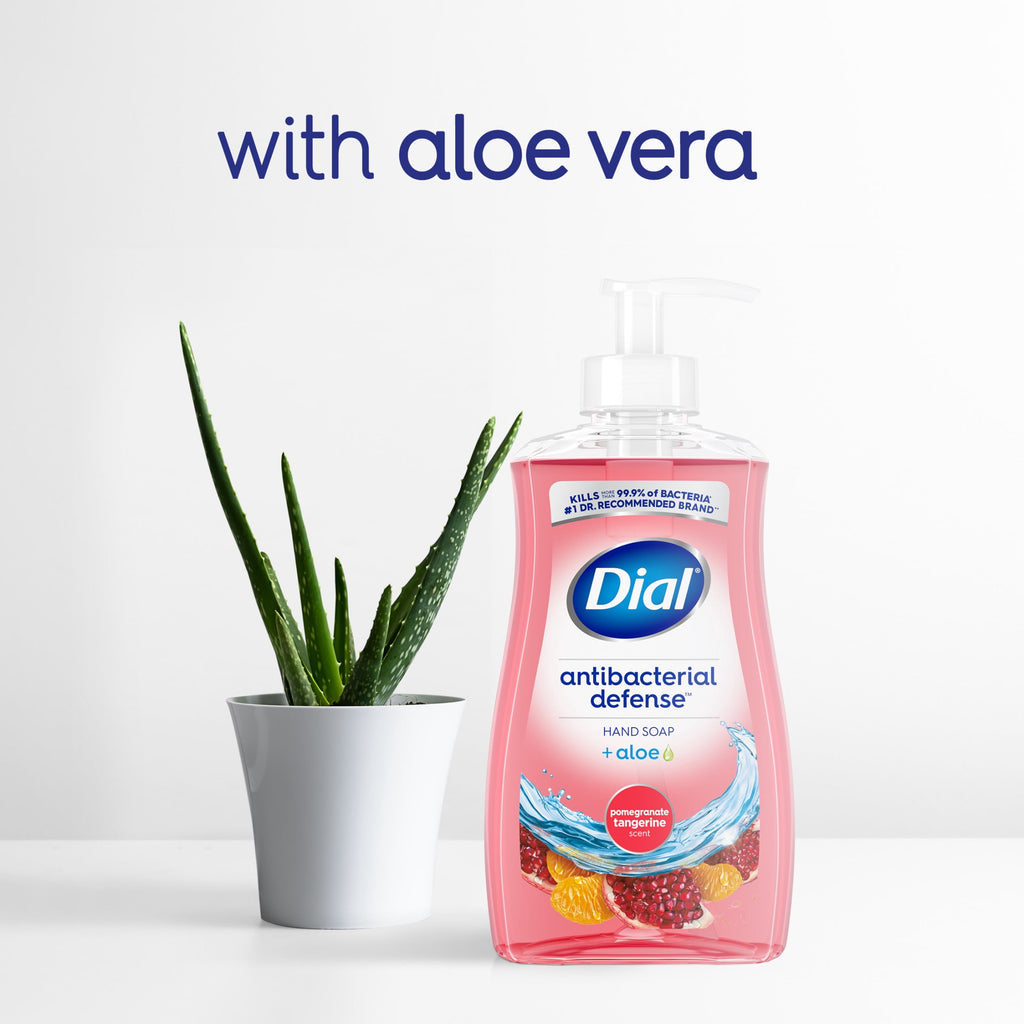 Dial Antibacterial Defense Pomegranate & Tangerine Liquid Hand Soap, 11 fl oz