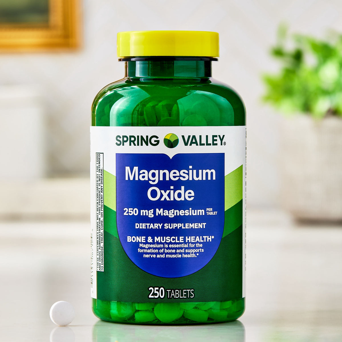 Spring Valley Magnesium Dietary Supplement Tablets for Bone and Muscle Health, 250 mg, 250 Count