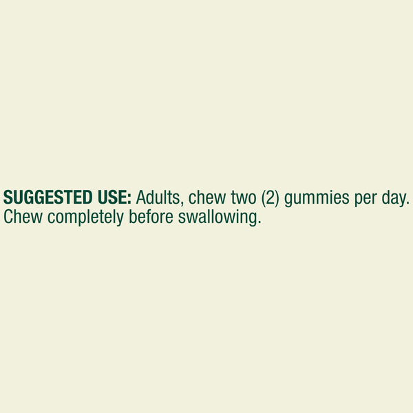 Spring Valley Immune Plus Dietary Supplement Vegetarian Gummies for Immune System Support, Elderberry, 60 Count