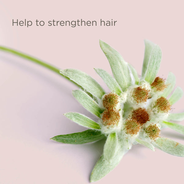 Hairitage End Play Split End Rescue Gel Cream with Jojoba Protein, for Damaged Hair, 4 fl oz