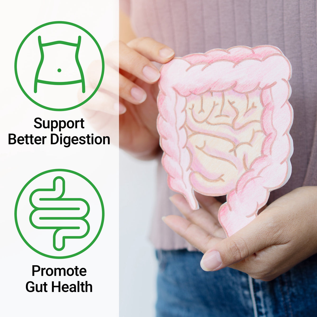 Force Factor ProbioSlim + Prebiotic Fiber Supplement with Probiotics for Digestive Health - 120 Capsules