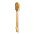 Far-Reaching Body Brush
