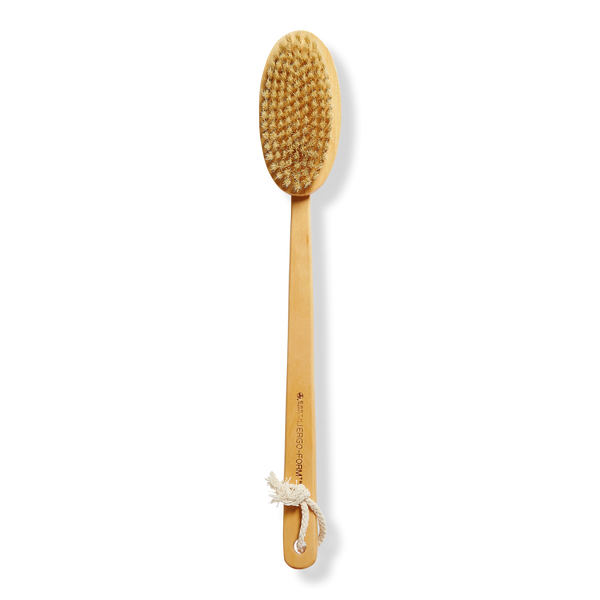 Far-Reaching Body Brush