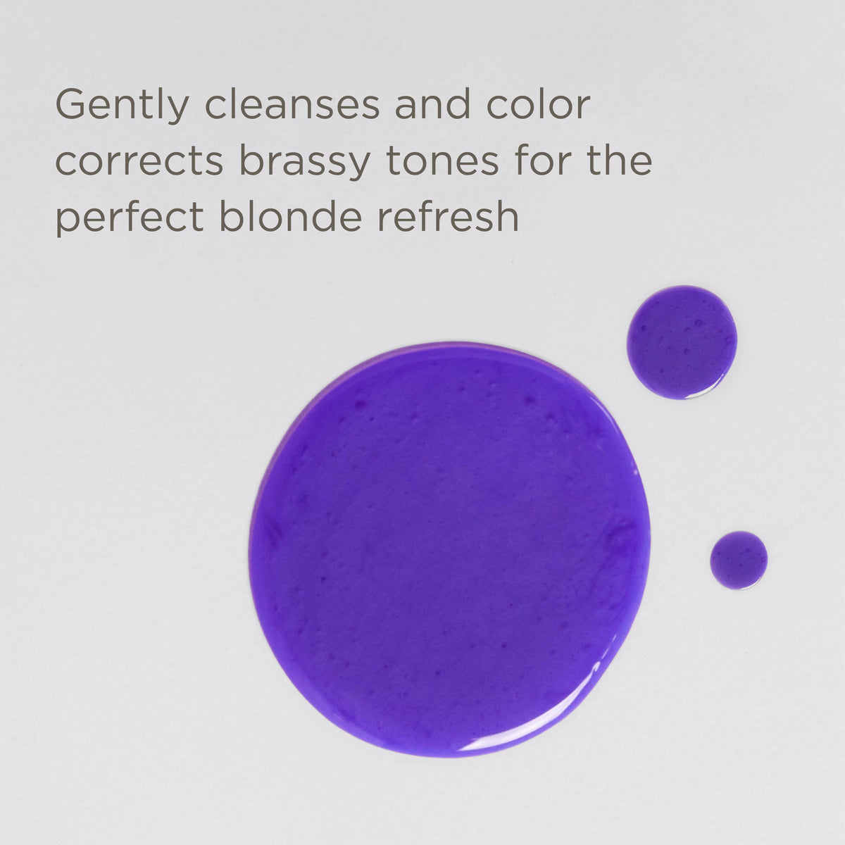 Hairitage - Pass On The Brass Purple Shampoo