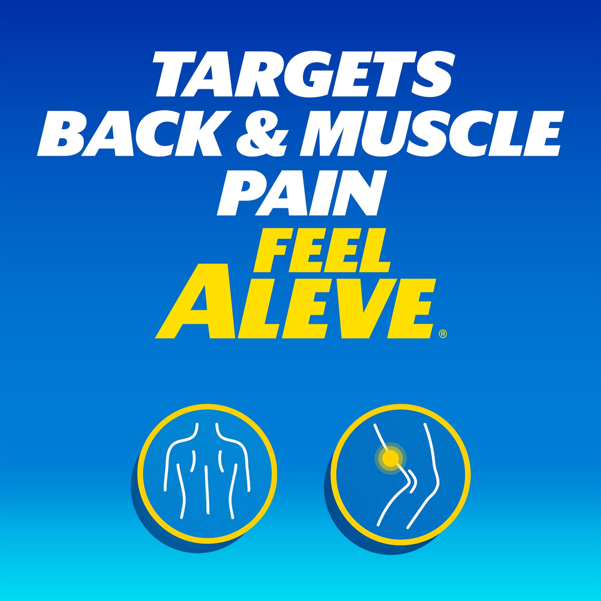 Aleve Back & Muscle Pain Reliever Naproxen Sodium Tablets, 200 Count