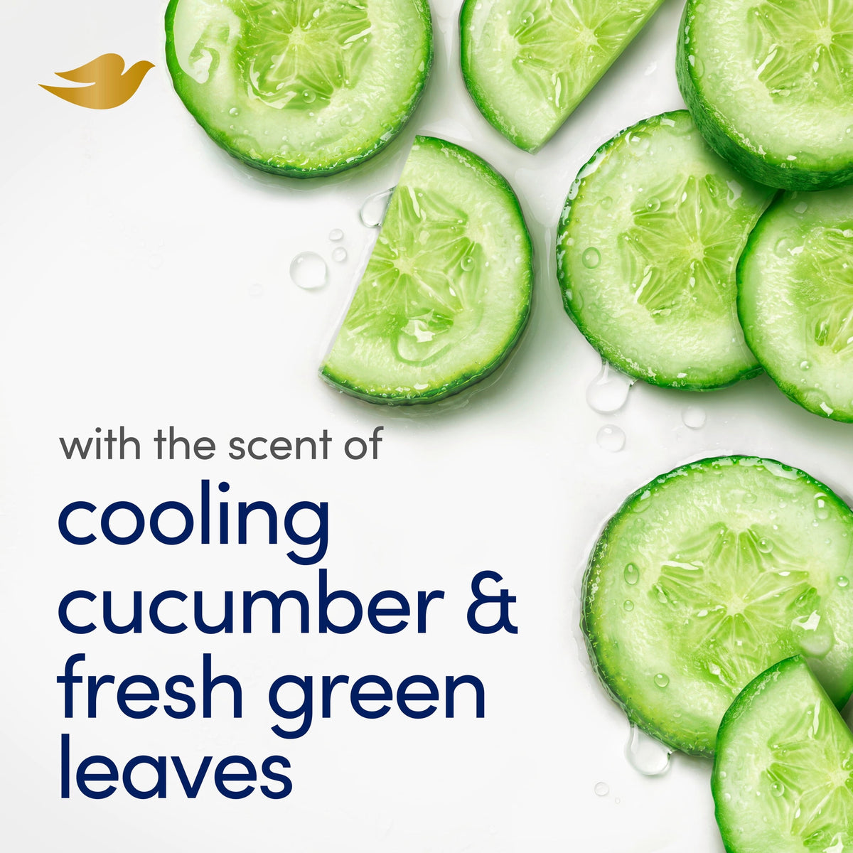 Dove Beauty Bar Soap For Refreshed Skin, Cool Moisture Cucumber & Green Tea Scent, Leaves Skin Refreshed, 3.75 oz 12 Bars