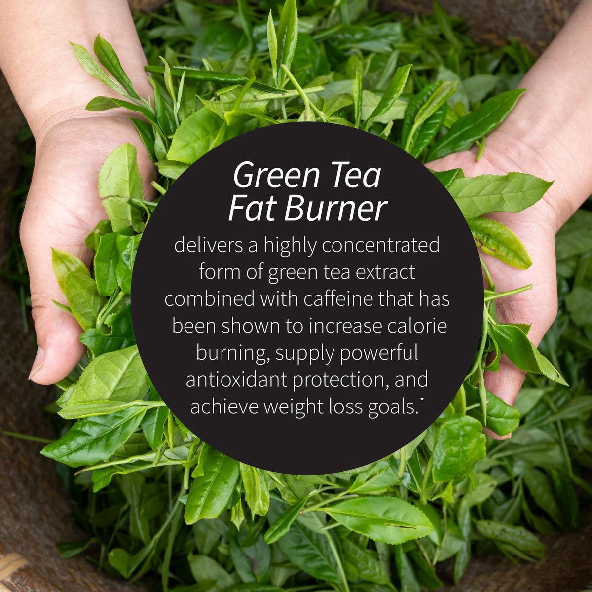 Applied Nutrition Green Tea Fat Burner®, 90 Fast-Acting Liquid Soft-Gels