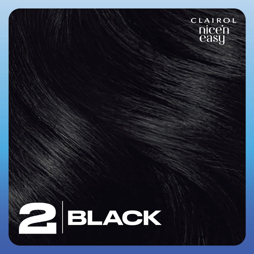 Clairol Nice'n Easy Permanent Hair Color Dye Creme, 2 Black, 1 Application