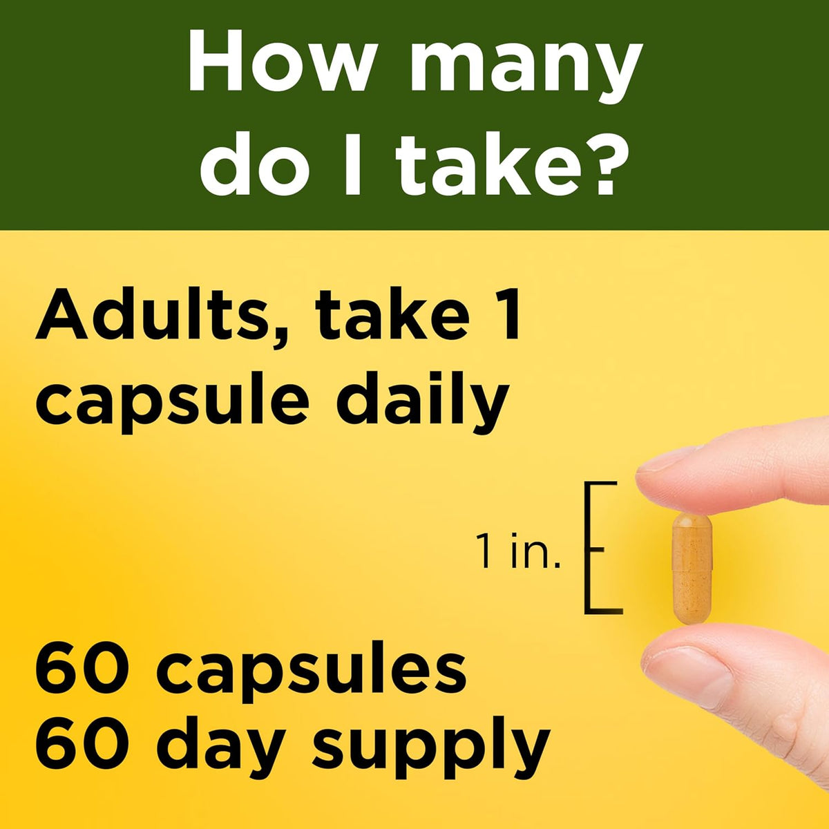 Nature Made Turmeric Curcumin 500 mg, Herbal Supplements, 60 Capsules