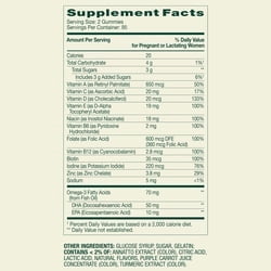 Spring Valley Prenatal Adult Gummy Supplement Value Size, 190 Count