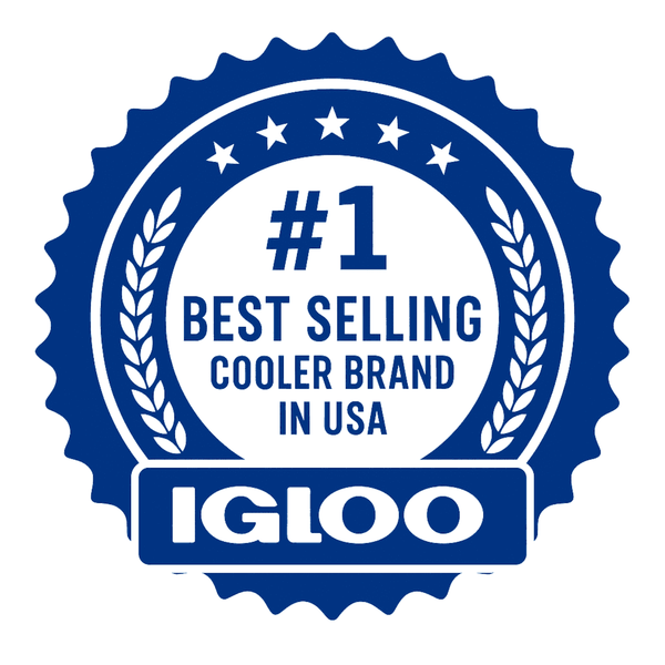Igloo MaxCold Small Ice Freeze Block, Blue, Best Used for On-the-Go Snacks and Lunches to Keep Food Cool