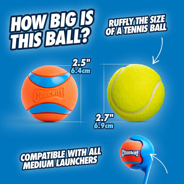 Chuckit! Ultra Ball Rubber Dog Fetch Toy Medium 2.5 in 2-Pack