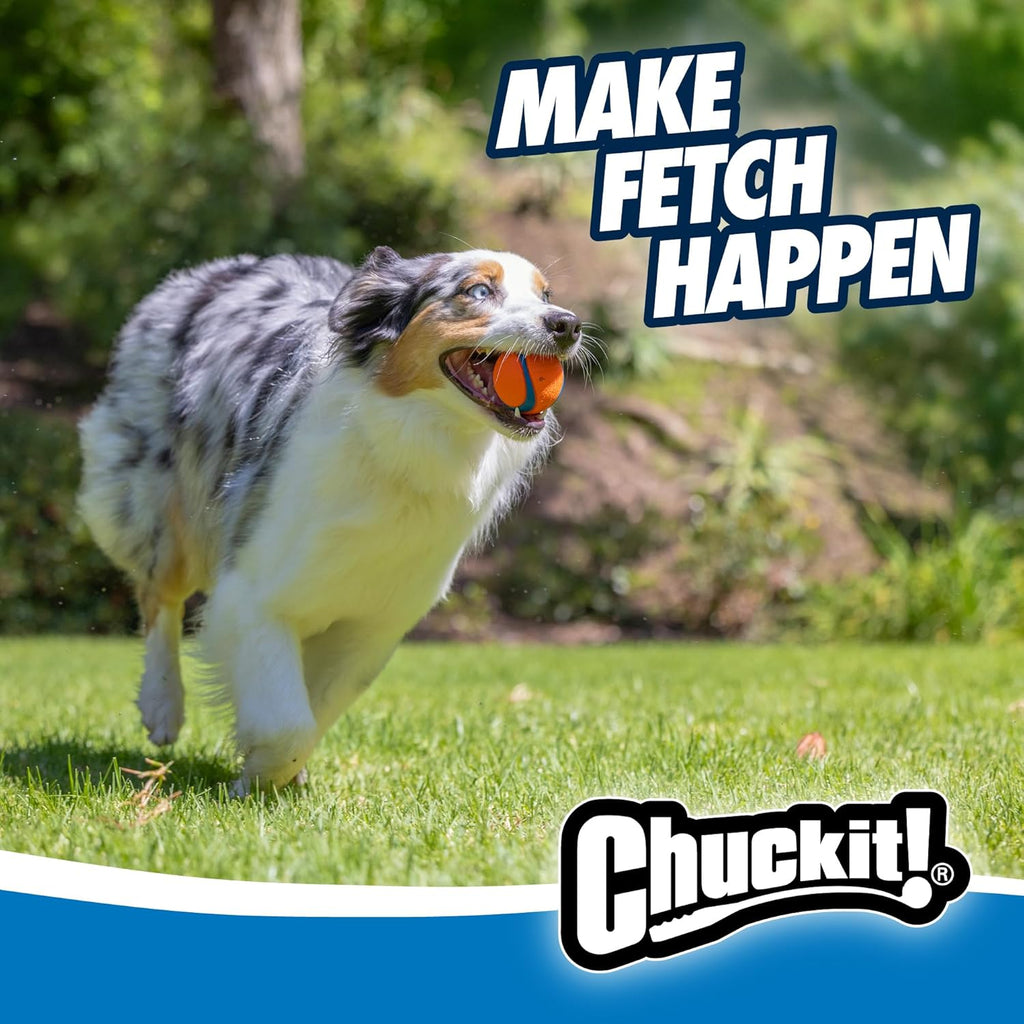 Chuckit! Ultra Ball Rubber Dog Fetch Toy Medium 2.5 in 2-Pack