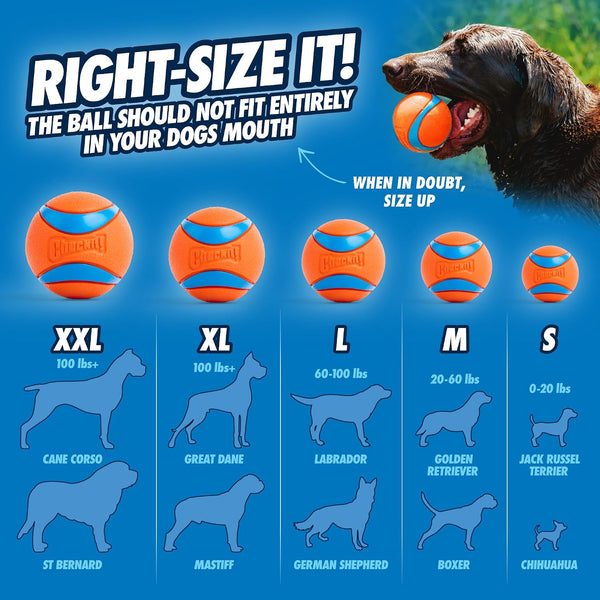 Chuckit! Ultra Ball Rubber Dog Fetch Toy Medium 2.5 in 2-Pack