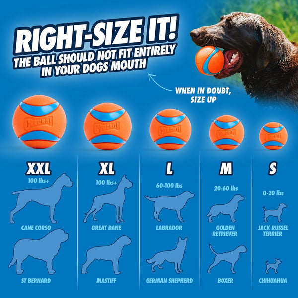 Chuckit! Ultra Ball Rubber Dog Ball Floating Fetch Toy Medium 2.5 in 4-Pack