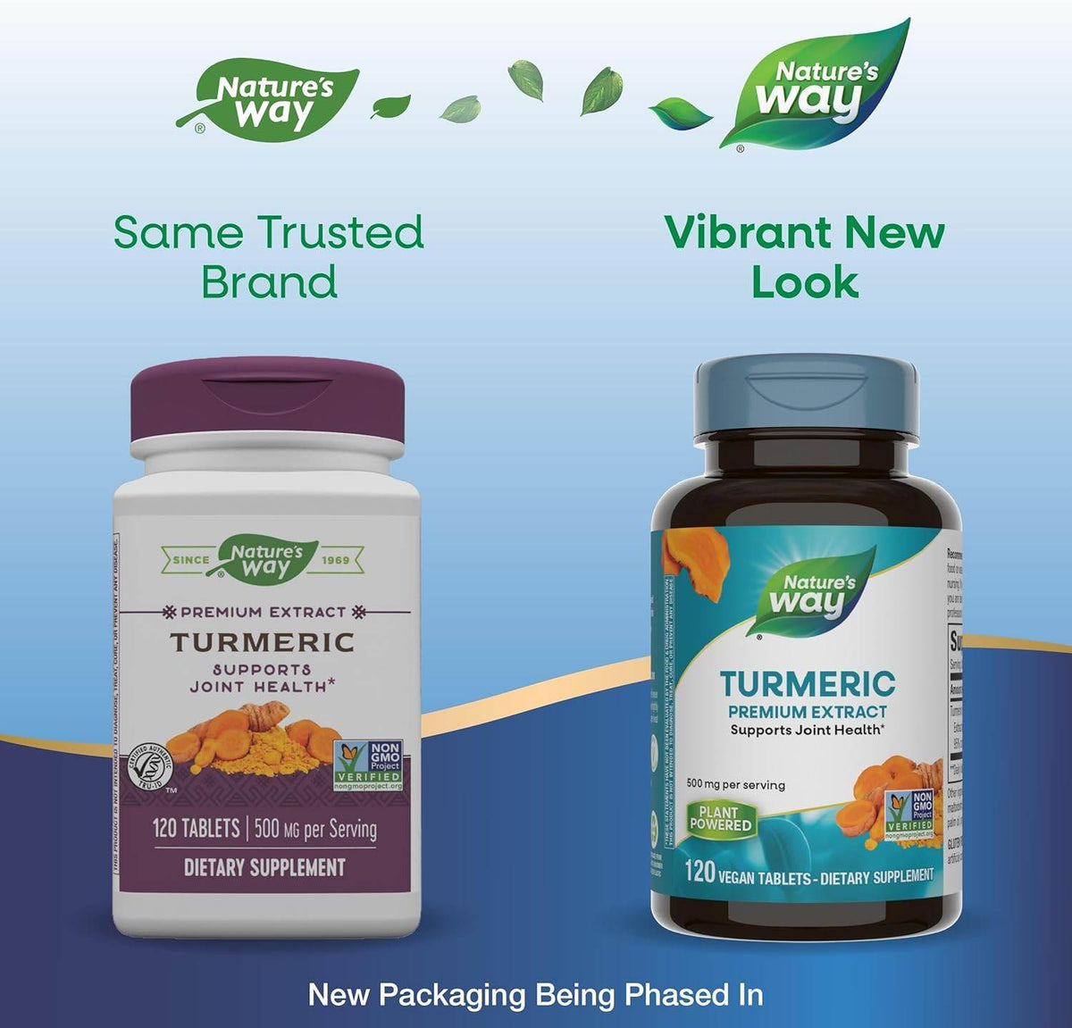 Nature's Way Turmeric, Tablets, 120 ea - OTC Shoppe Express