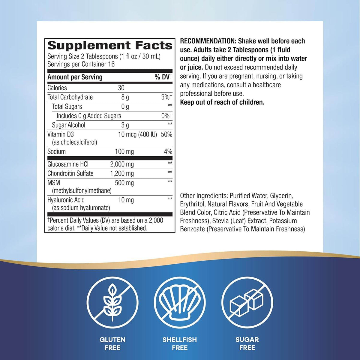 Wellesse Joint Movement Glucosamine, Liquid, Natural Berry, 16 oz - OTC Shoppe Express