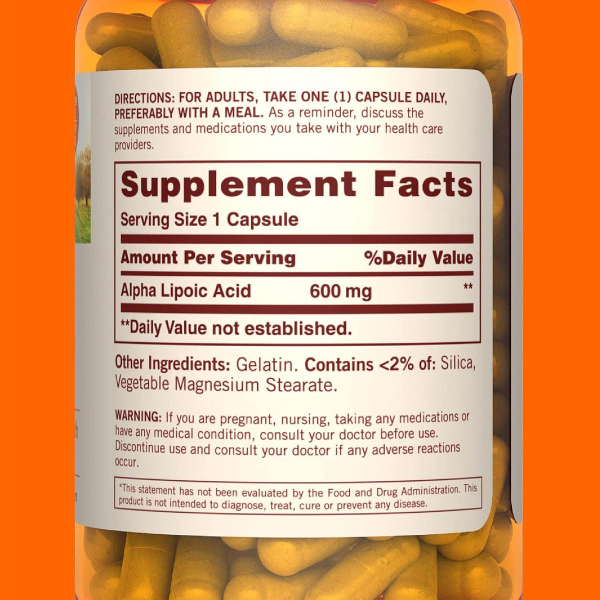 Sundown Naturals Super Alpha Lipoic Acid, 600 mg, Capsules, 60 ea - OTC Shoppe Express