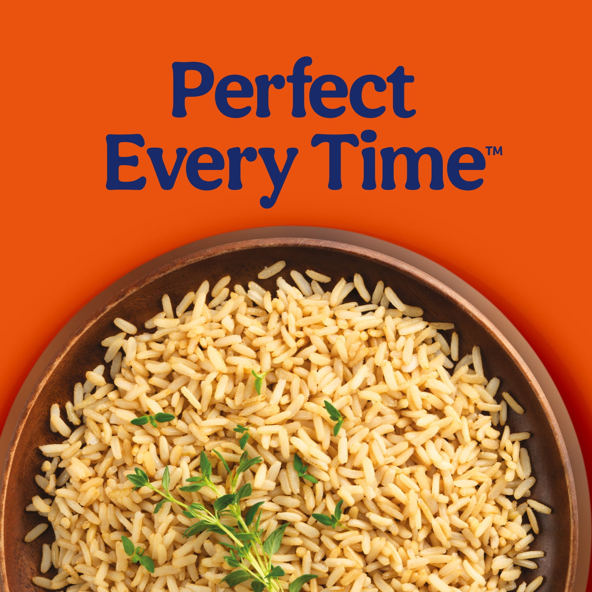 Ben's Original Ready Whole Grain Brown Rice, Easy Dinner Side, 8.8 Ounce Pouch