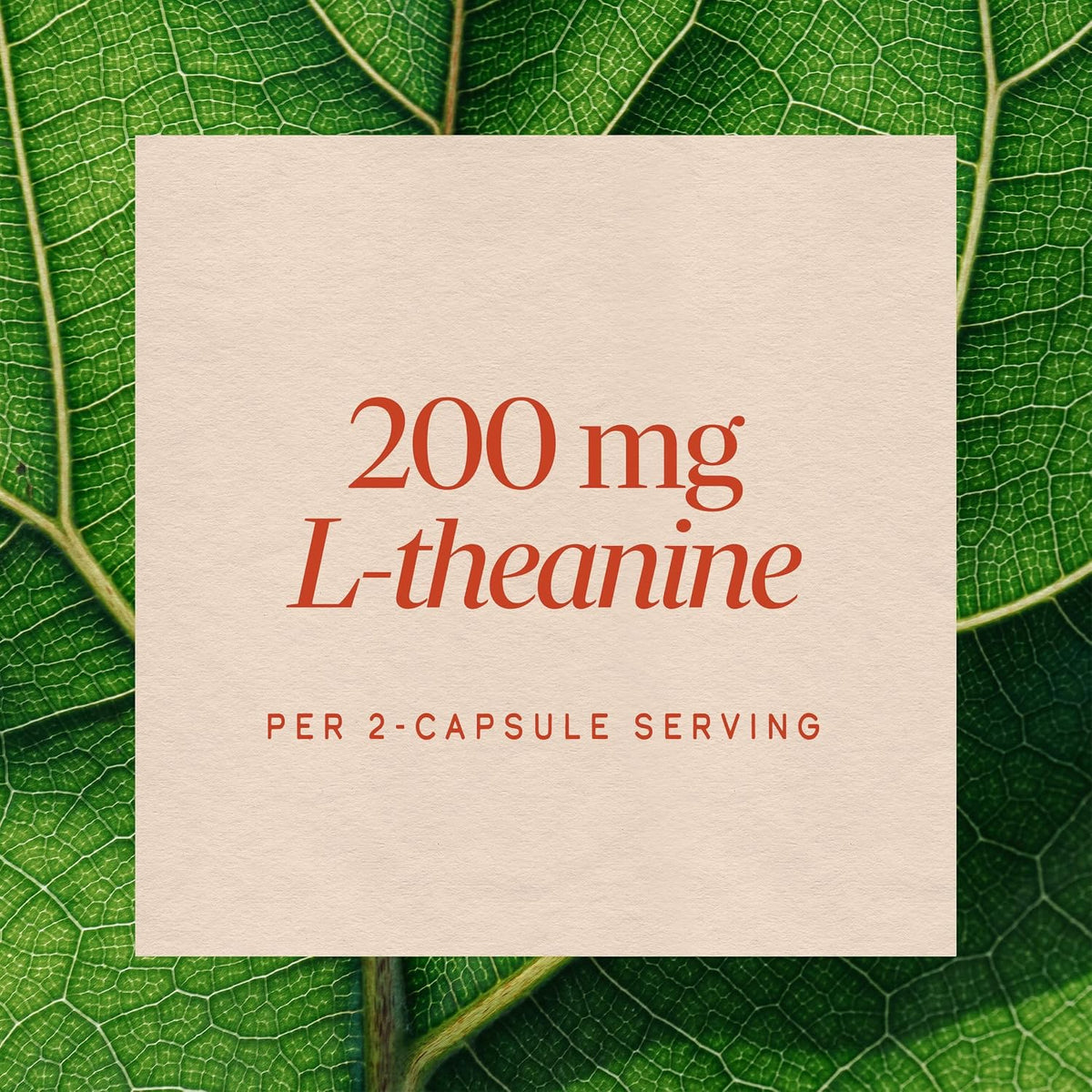 Nature's Way L-Theanine, Stress Relief*, Relaxation Support*, 60 ct