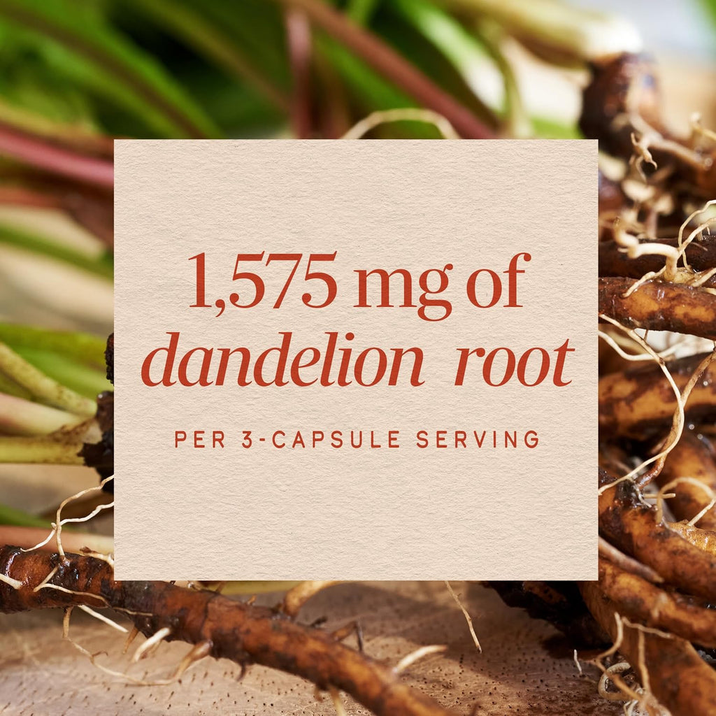 Nature's Way Dandelion Root Capsules, 1,575 mg per Serving, 100 ct