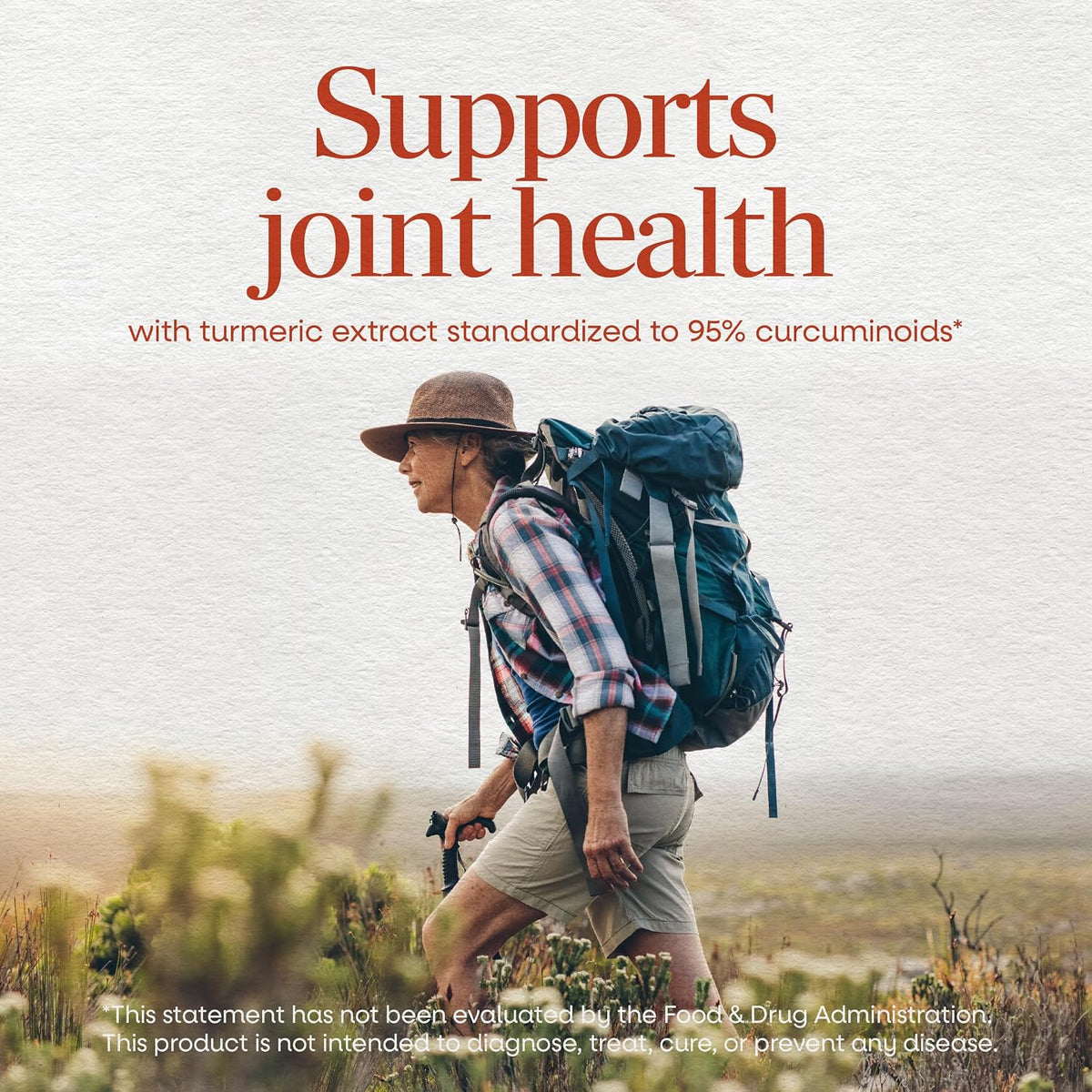 Nature's Way Turmeric Tablets, Curcuminoids, Joint Health Support*, 60ct