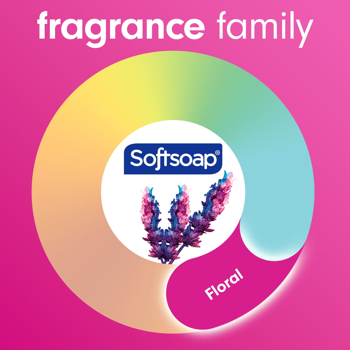 Softsoap Liquid Hand Soap, Kitchen and Bathroom Hand Soap, Lavender and Shea, 11.25 Fluid Ounce Bottle