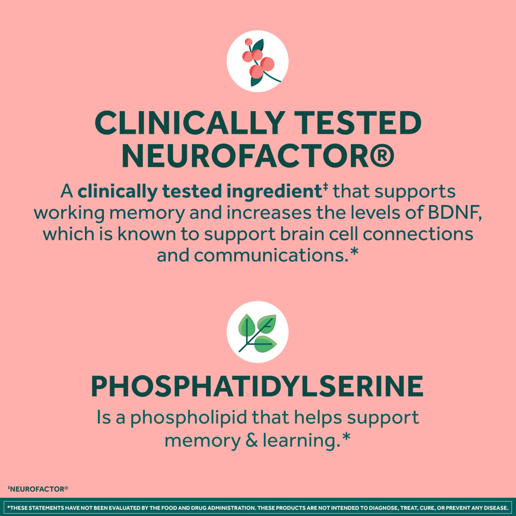 Neuriva Original Brain Supplements for Memory and Focus Phosphatidylserine Strawberry Gummies 50 Count
