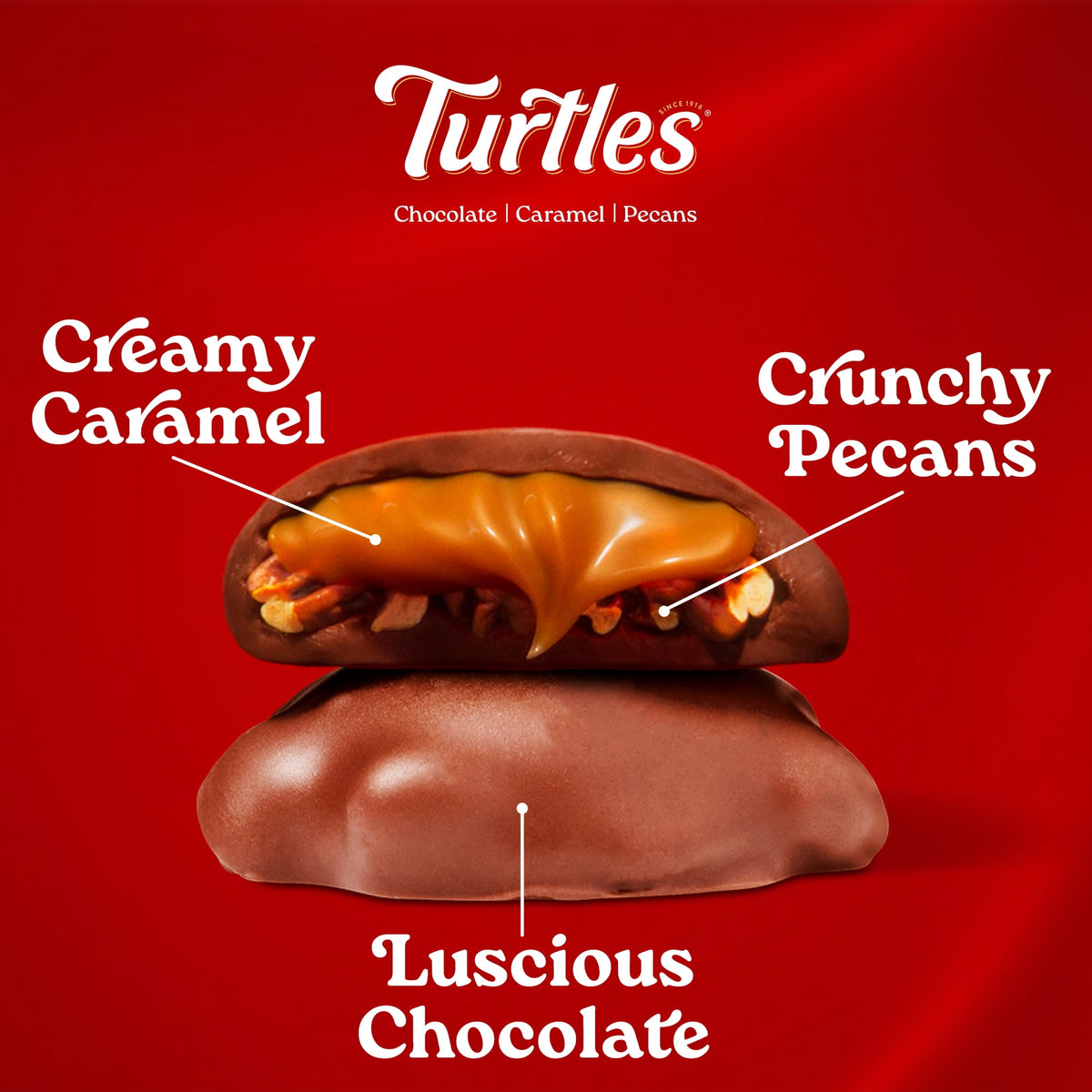DeMet's Turtles, Original Milk Chocolate Pecan Bar, 1.76 oz