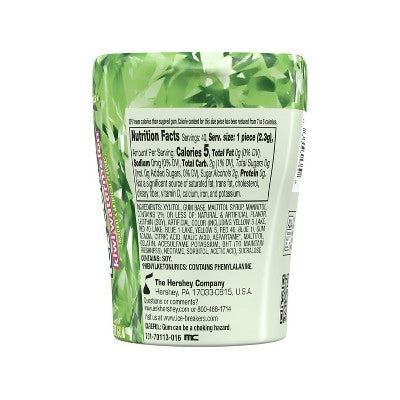 Ice Breakers Kiwi Watermelon Ice Cubes Gum - 3.24oz