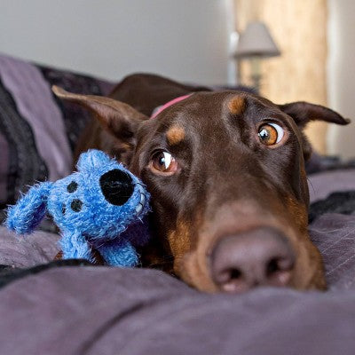 Multipet 6" Loofa The Original Interactive Plush Dog Toy - Blue