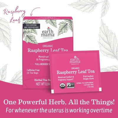 Earth Mama Organic Raspberry Leaf for Labor Prep and Menstrual Support Herbal Bagged Teas - 16ct