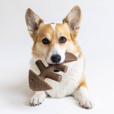 Benebone Fish Dog Bone Chew Toy - M